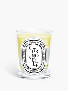 Diptyque Citronnelle (Lemongrass) Classic Candle &mdash; ароматическая свеча с лемонграссом, 190г