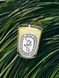 Diptyque Citronnelle (Lemongrass) Classic Candle &mdash; ароматична свічка з лемонграсом, 190г